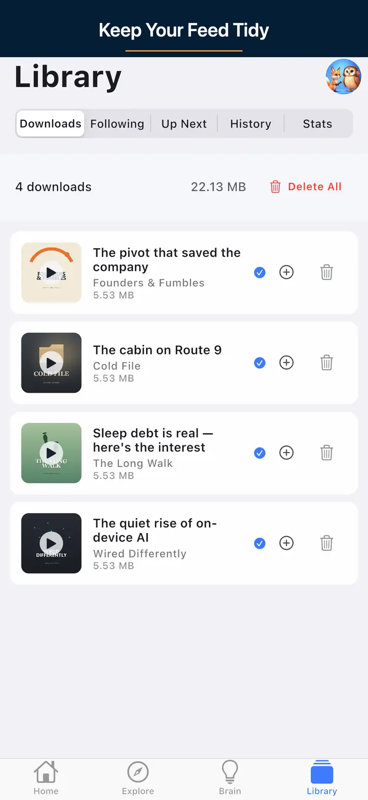 The downloaded episodes screen — The Podcast App, running in this language.
